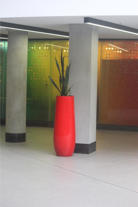 Interior (Indoor) Plants (BHT315)