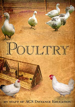 Poultry - PDF ebook